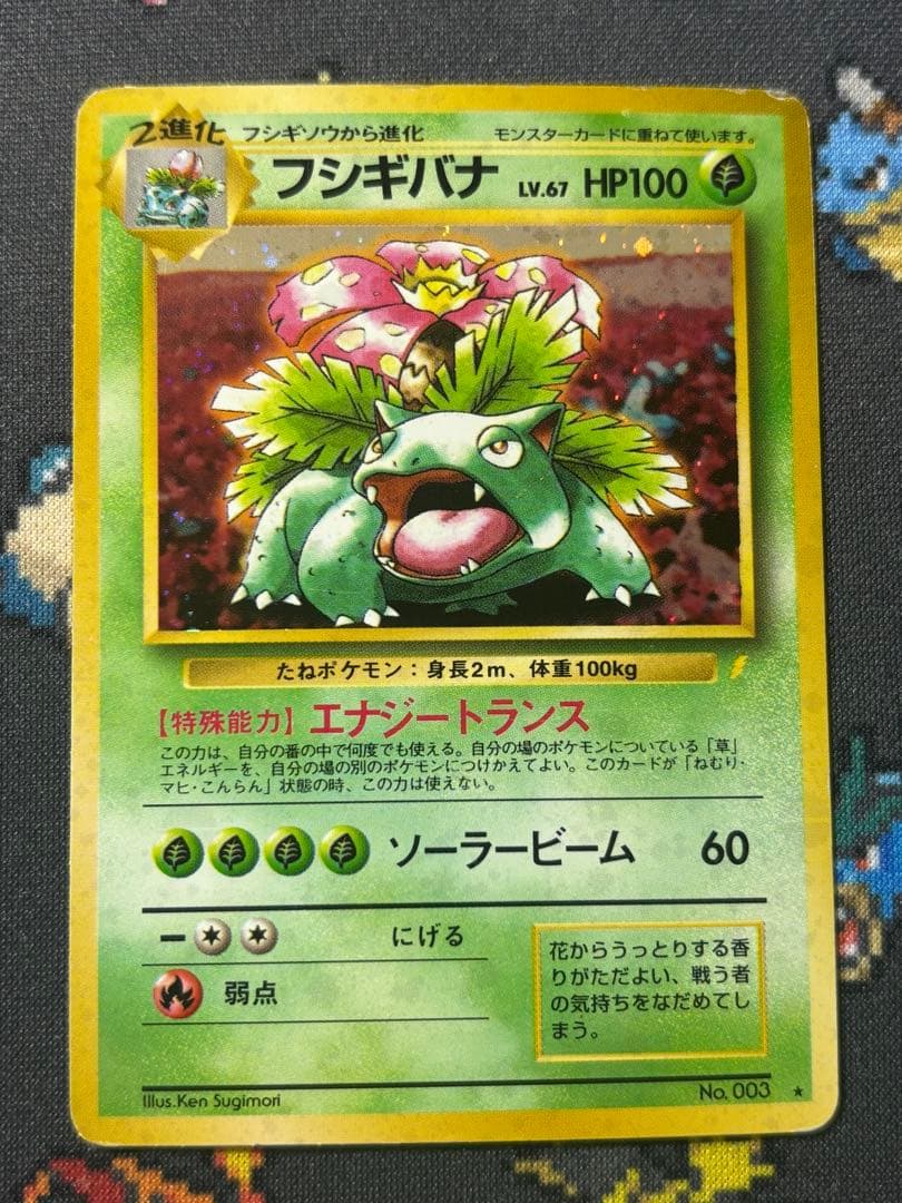 フシギバナ 旧裏２枚セット