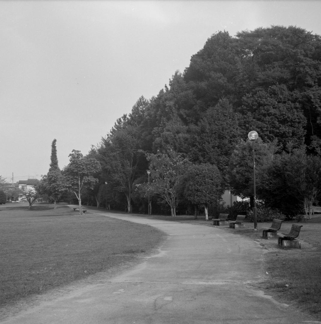 ＜作例あり＞Mamiya-6 ⅣB zuiko 蛇腹 カメラ