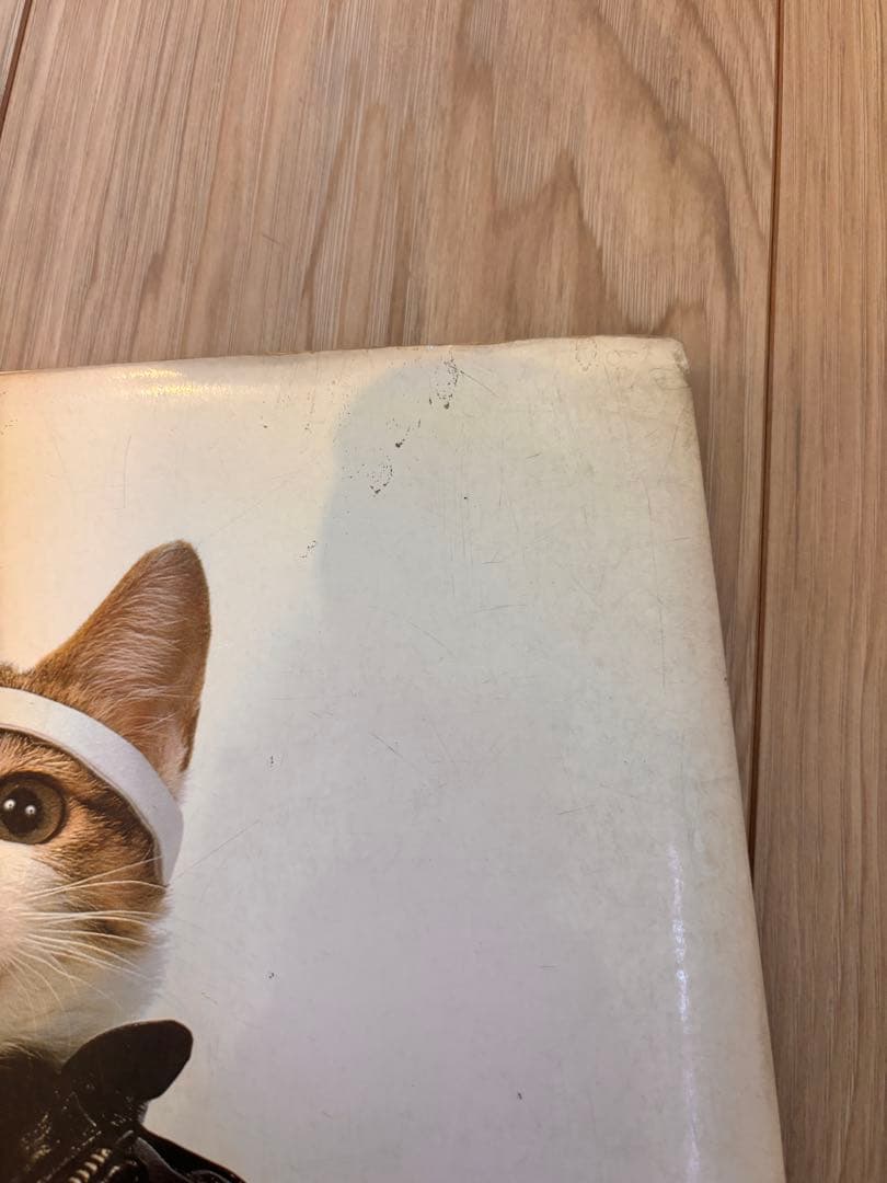 なめ猫 写真集「なめんなよ 大写真館」1982年 初版 新興楽譜出版社