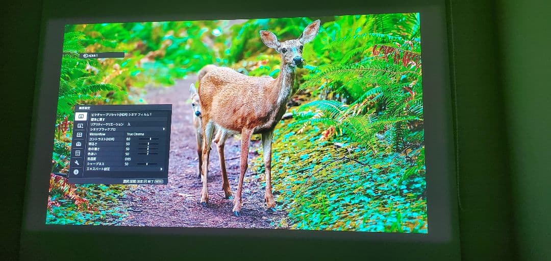 SONY VPL-VW745 4Kレーザープロジェクター