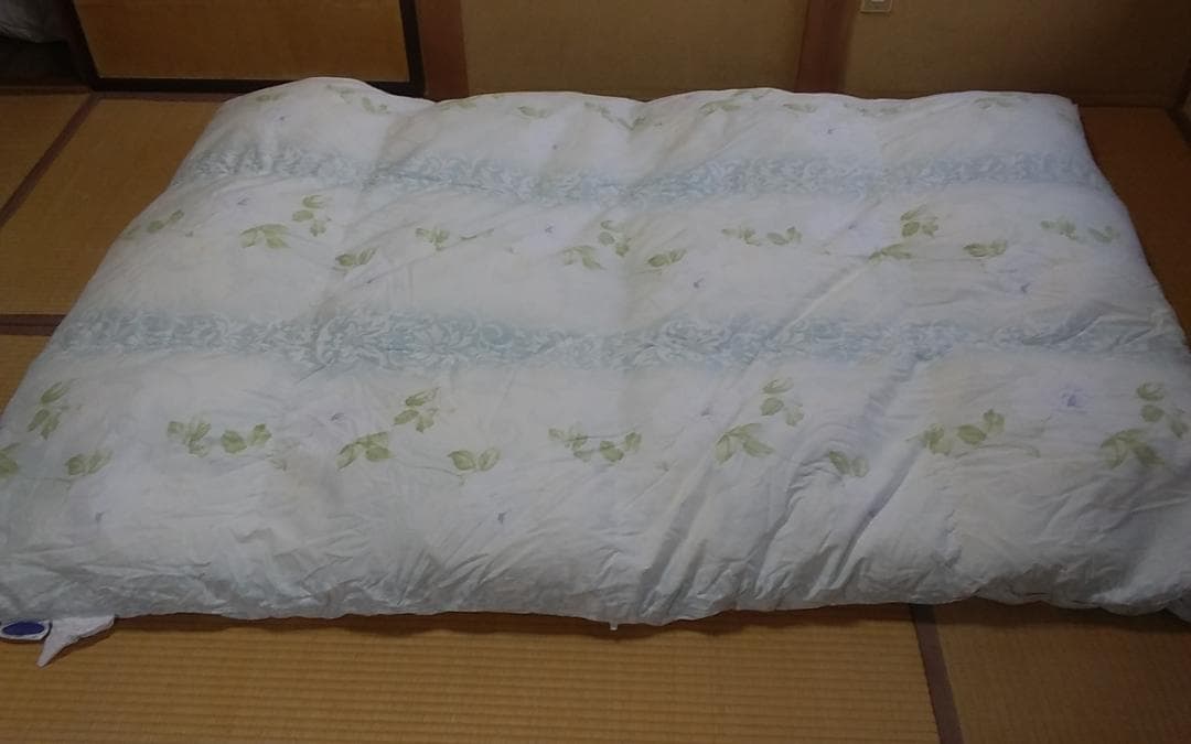 １.３㎏羽毛掛布団 ダウン９３%フェザー７%