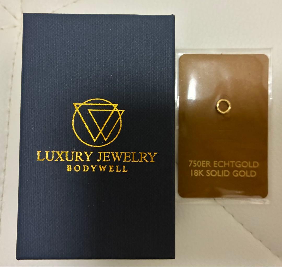 【K18 セグメントリング ピアス フープ】