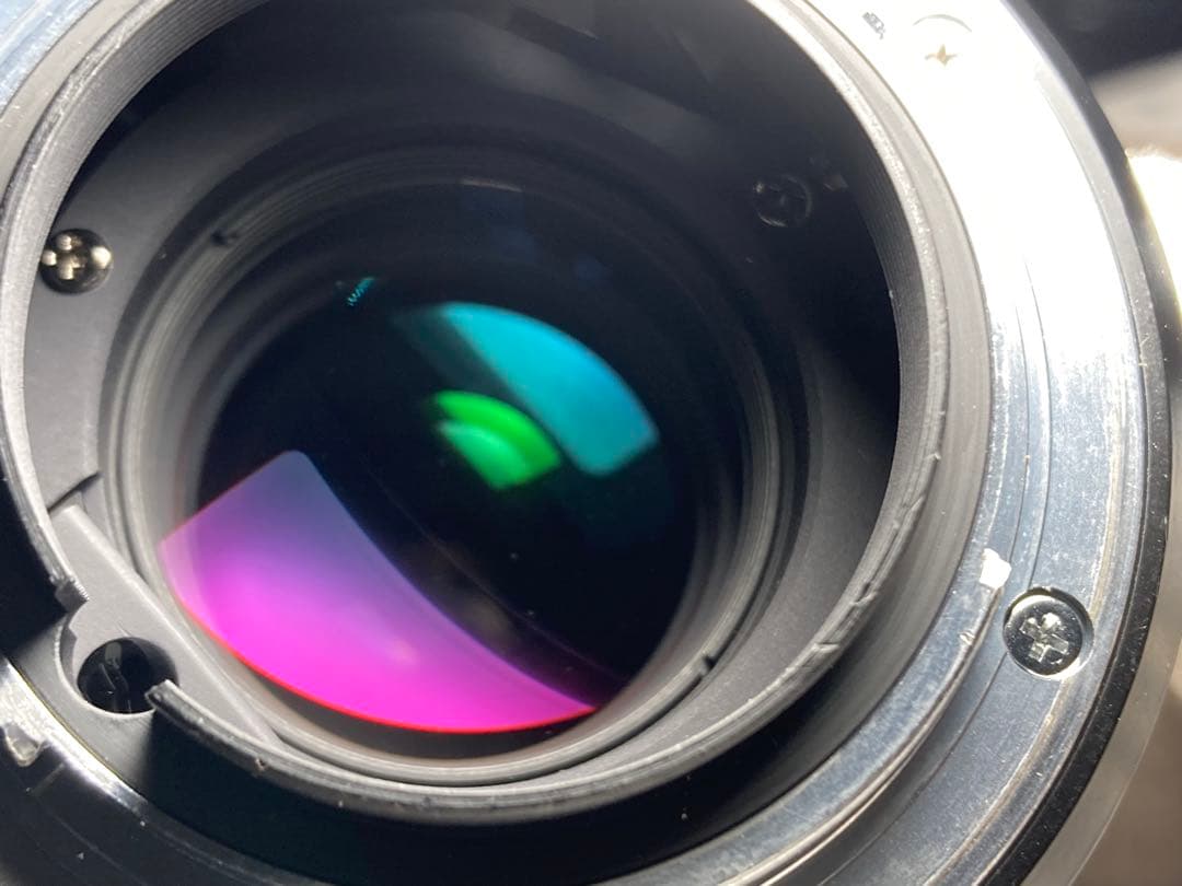 作例付き　Nikon Medical NIKKOR 120mm F4 管mpr