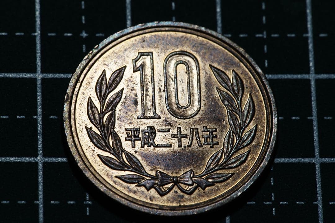 作例付き　Nikon Medical NIKKOR 120mm F4 管mpr