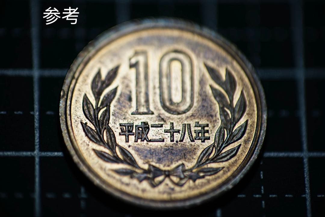 作例付き　Nikon Medical NIKKOR 120mm F4 管mpr