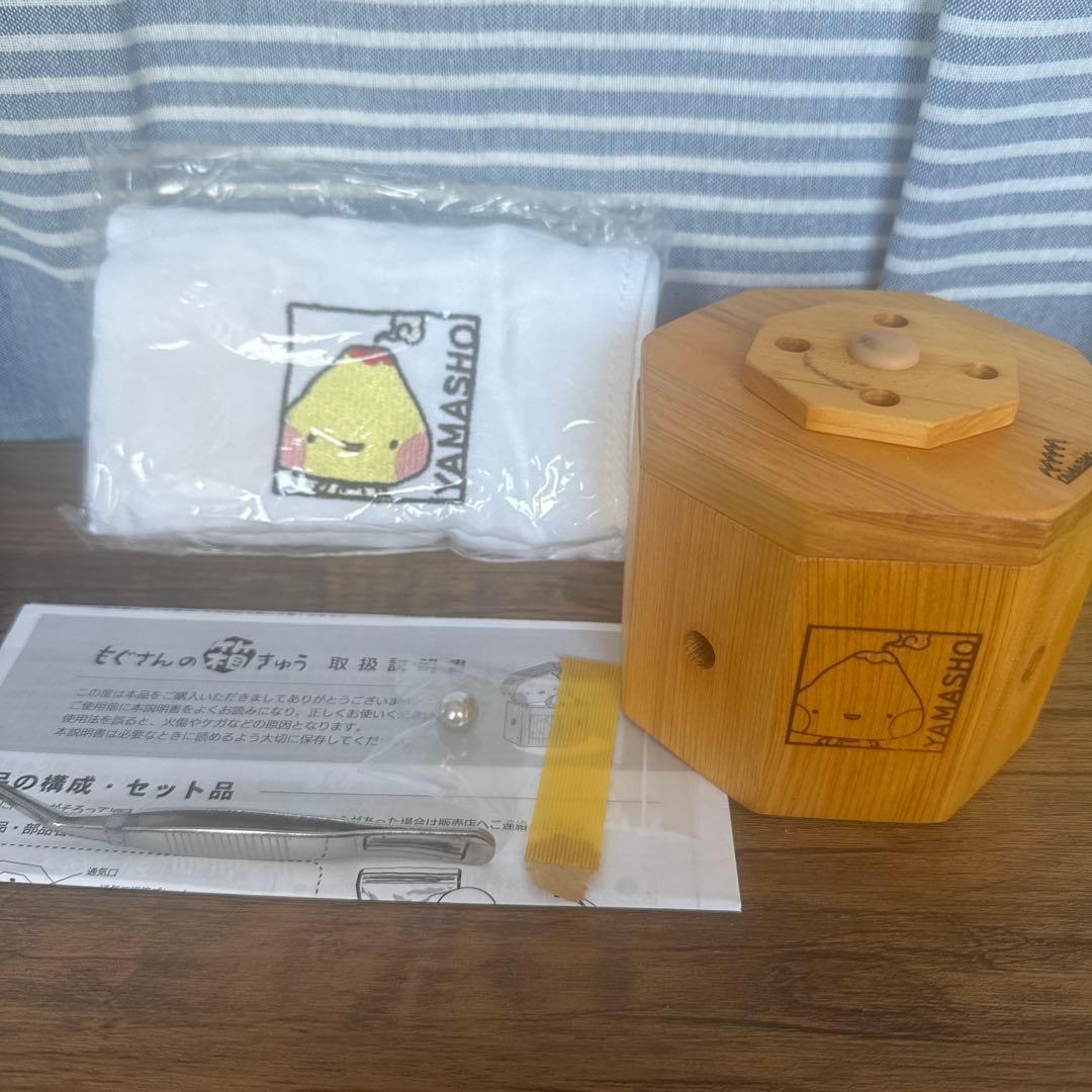 もぐさんの箱灸　山正