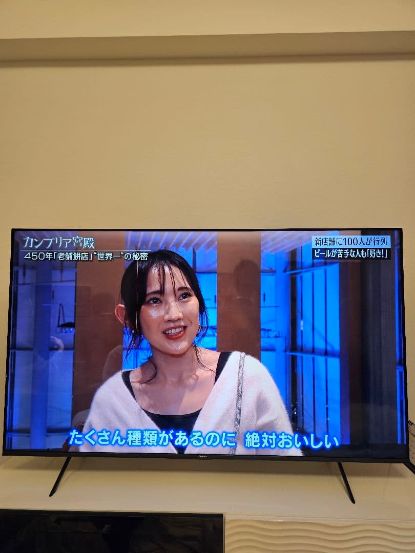 へ*と様 ハイセンス 65E7H 2024年製　細い縦線と横線あり　手渡しOK