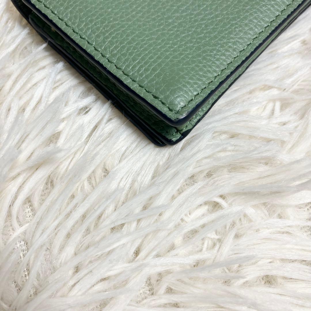 【極美品】 ロエベ アナグラム 名刺入れ カードケース