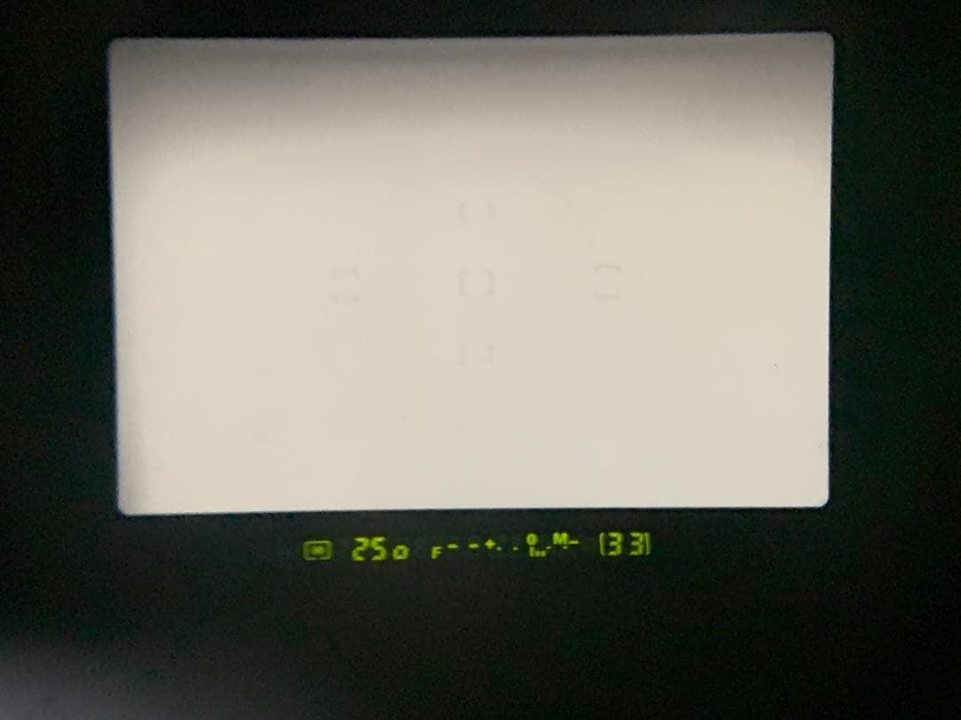 フィルムカメラ NIKON F100