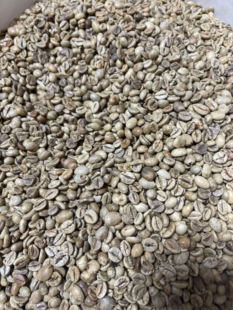 コーヒー生豆/おまかせ5種10kg