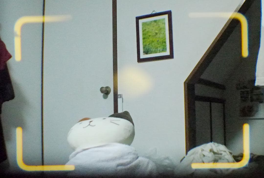 ヤシカエレクトロ35 GT 【良品・完動品・光学系分解整備済み】㊹