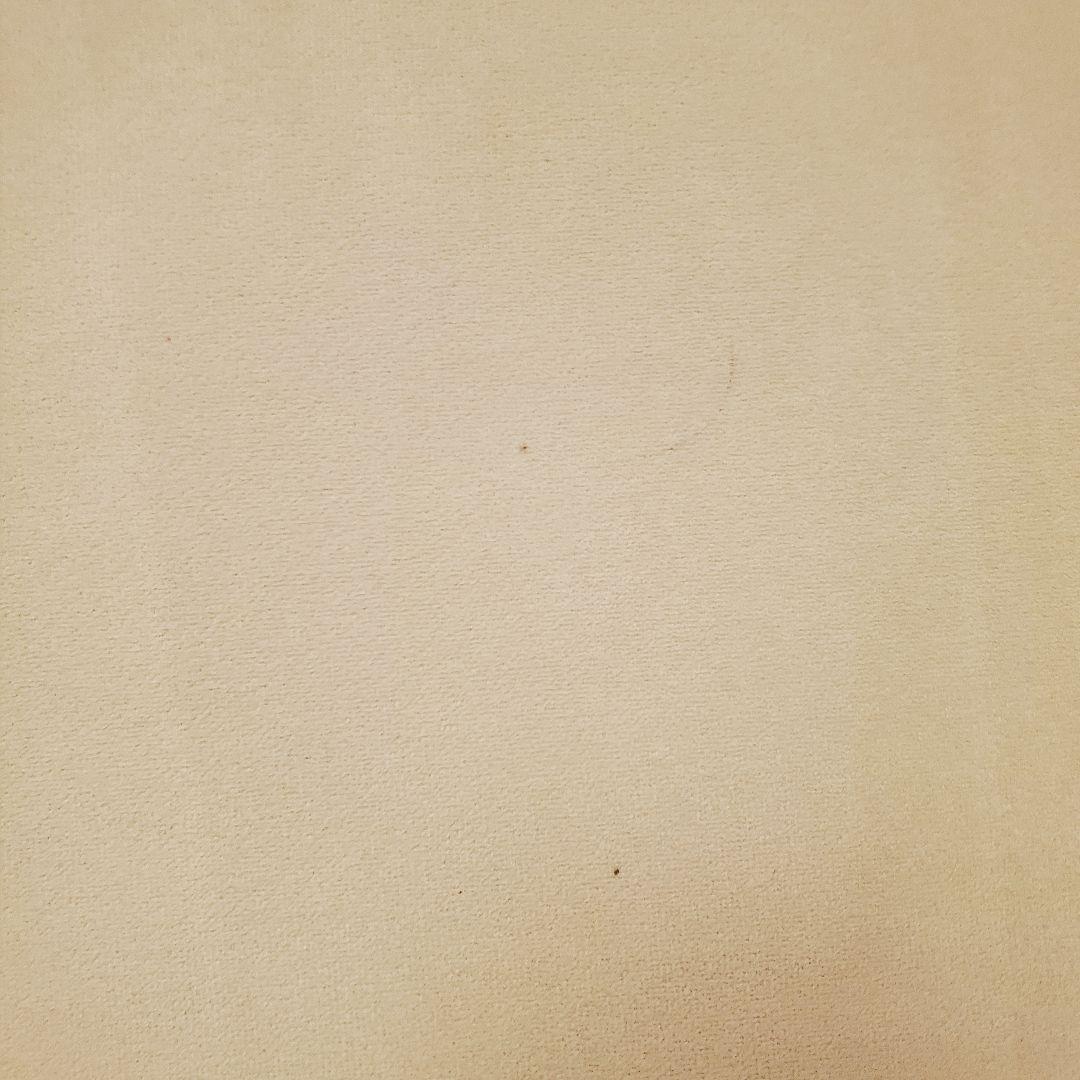 【サクラサク】Francfranc♡テネル♡2人掛けソファ