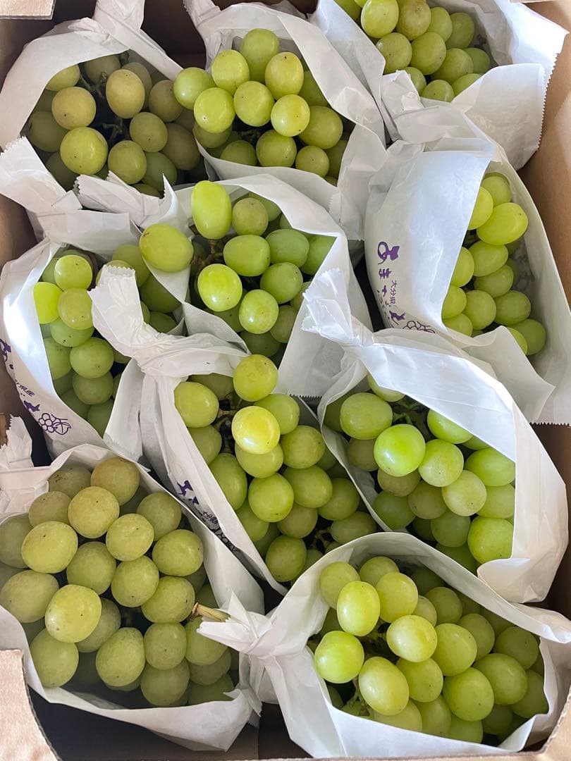 【数量限定】果物　シャインマスカット ぶどう　葡萄　5kg 房入り　訳あり