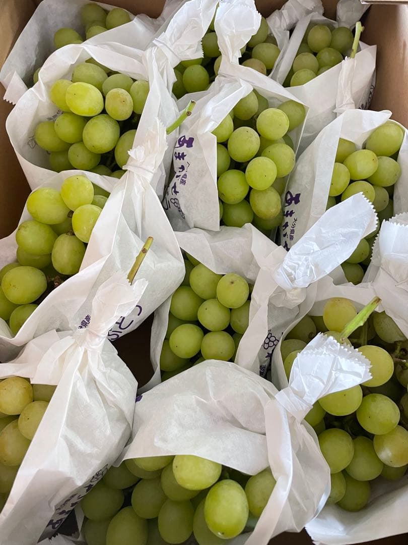 【数量限定】果物　シャインマスカット ぶどう　葡萄　5kg 房入り　訳あり