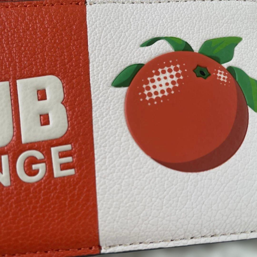 アニヤハインドマーチ　オレンジデザイン ケース