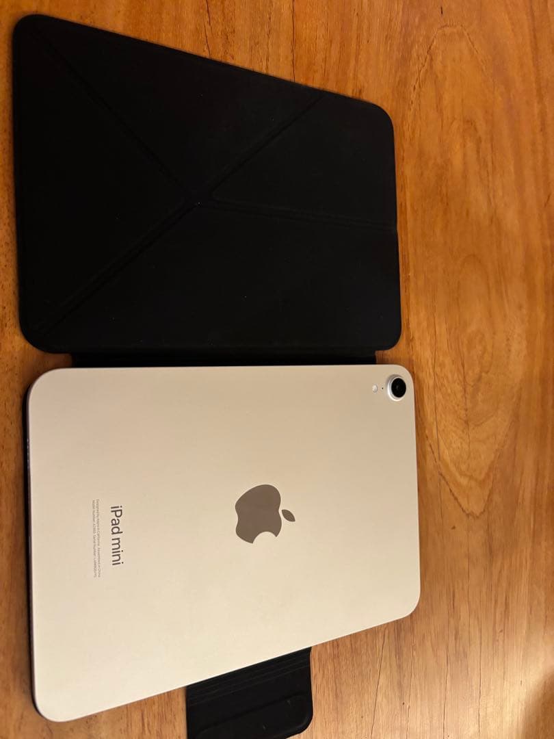 iPad mini7&ApplePencil Pro&PITAKAケース