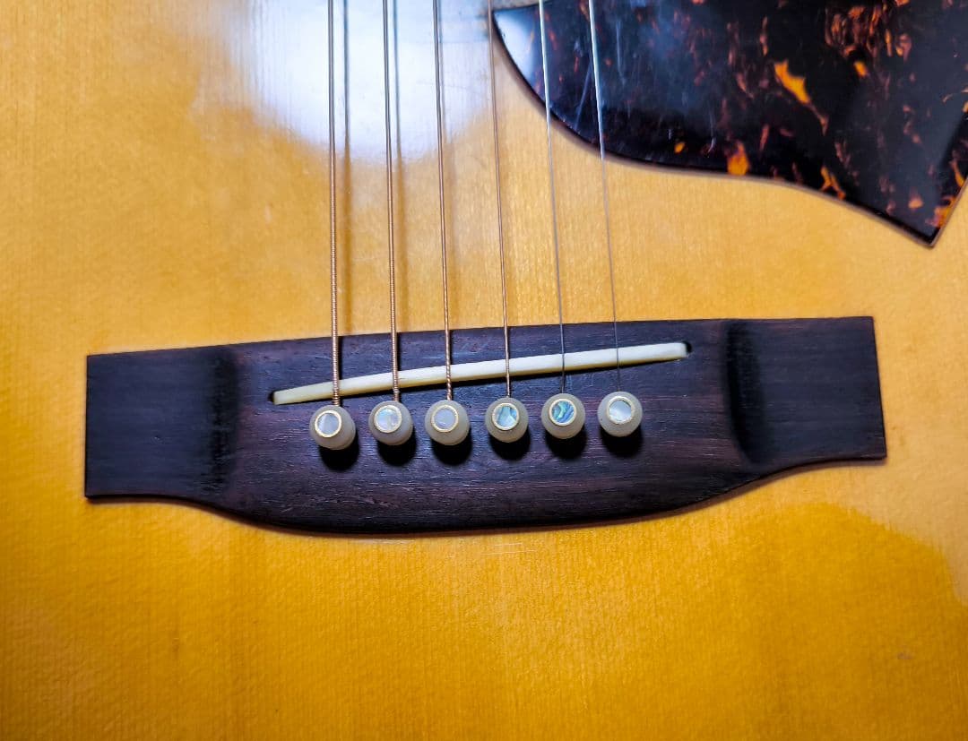 希少【YAMAKI】B-40 アコギ メイプル バッファローヘッド 手渡し可