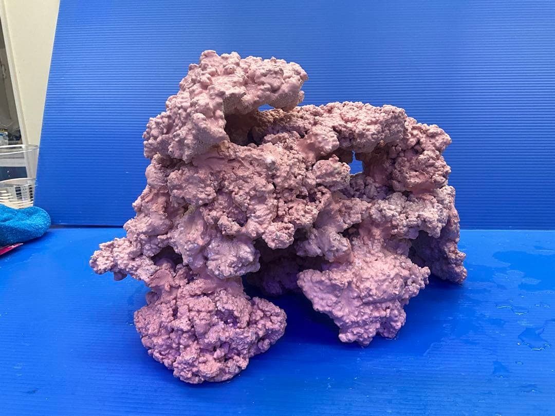 人工ライブロック　No.39. 無害化処理済