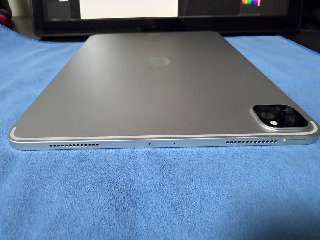 Apple iPad pro11(第二世代)シルバー※箱なし、本体のみ