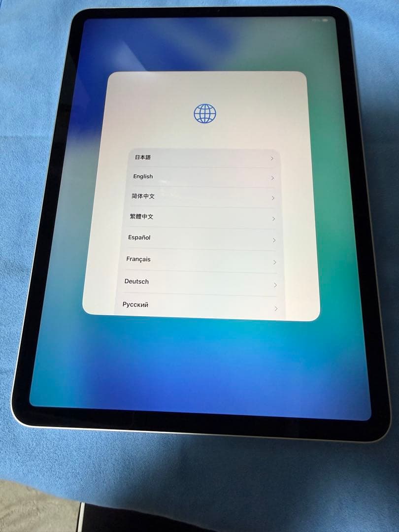 Apple iPad pro11(第二世代)シルバー※箱なし、本体のみ