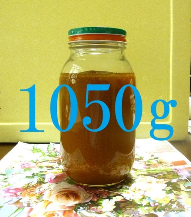 【結晶、残り僅か】ニホンミツバチの百花蜜1050g