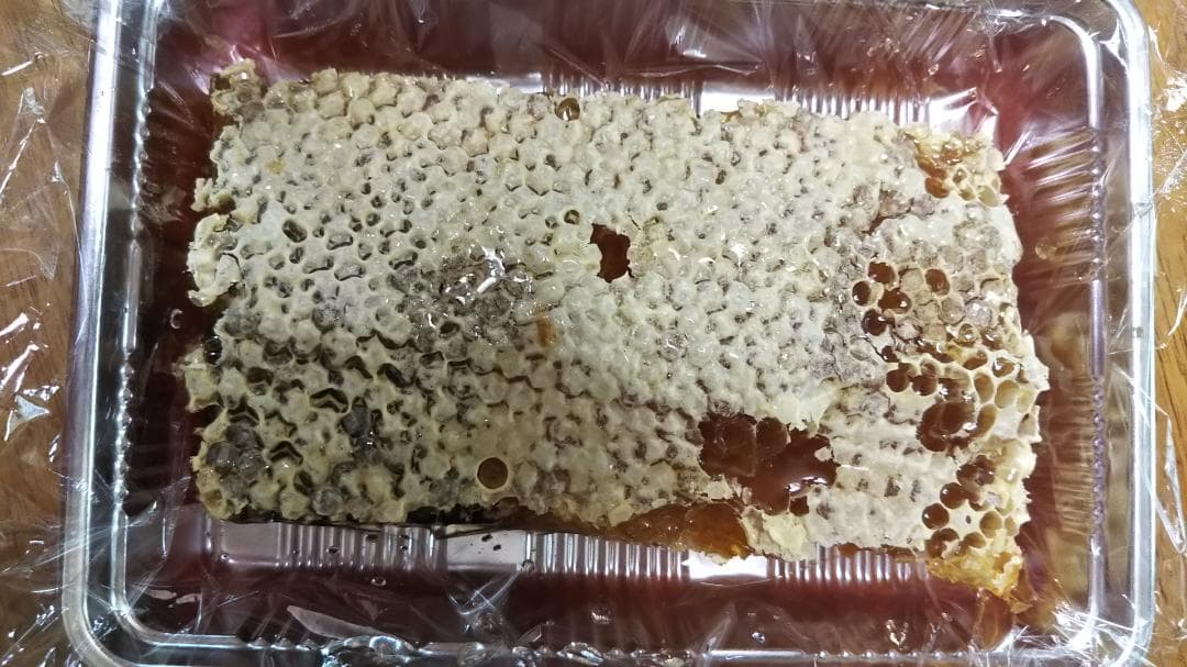 【結晶、残り僅か】ニホンミツバチの百花蜜1050g