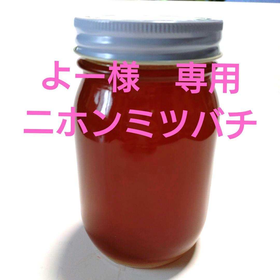 よー　ニホンミツバチ　蜂蜜　　信州産　無添加・非加熱　580g×2本