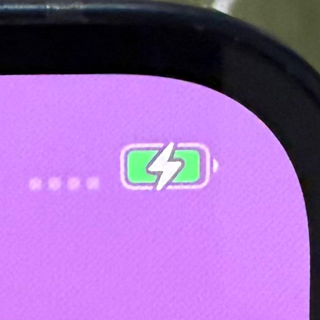 Apple iPhone13 256GB バッテリー容量100%