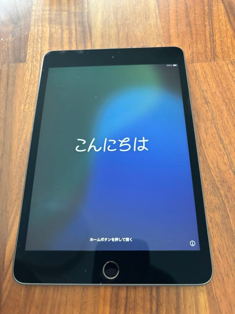 iPad mini第5世代 Wi-Fi+Cellular モデル