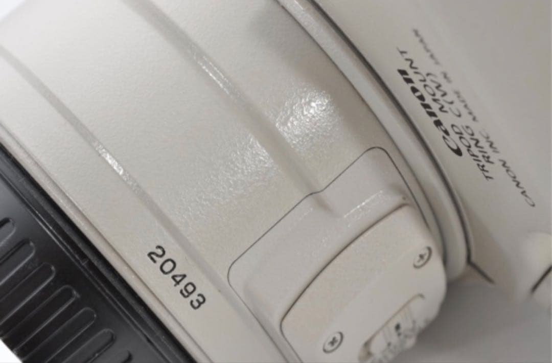 極美品　Canon EF 28-300mm F3.5-5.6L IS USM