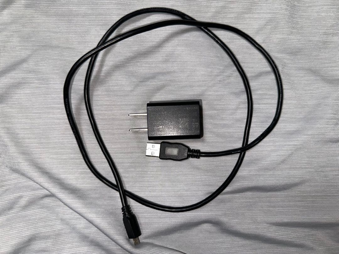 【2020年製】ソニー ワイヤレス ポータブル スピーカー SRS-HG10