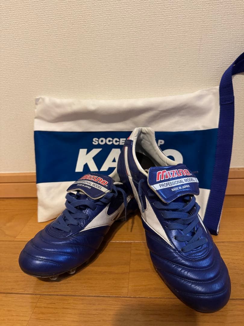 【稟月】モレリア2 2020東京オリンピック限定モデルMizuno25㎝