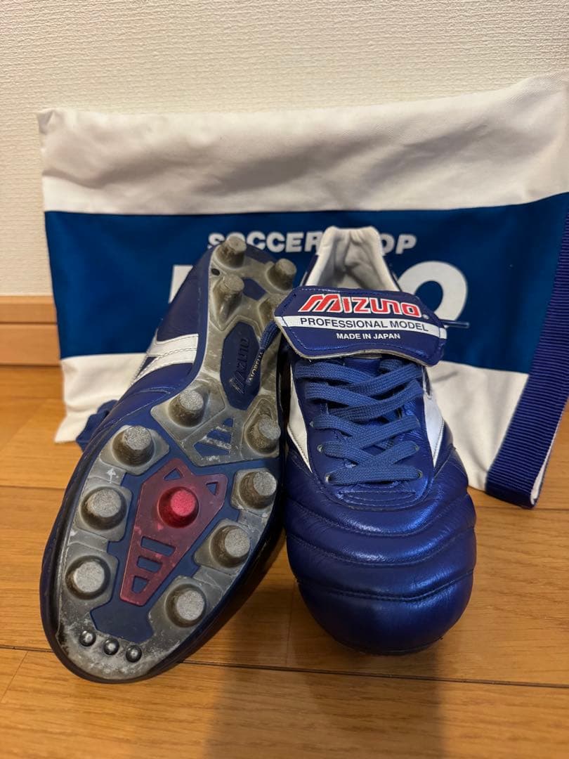 【稟月】モレリア2 2020東京オリンピック限定モデルMizuno25㎝