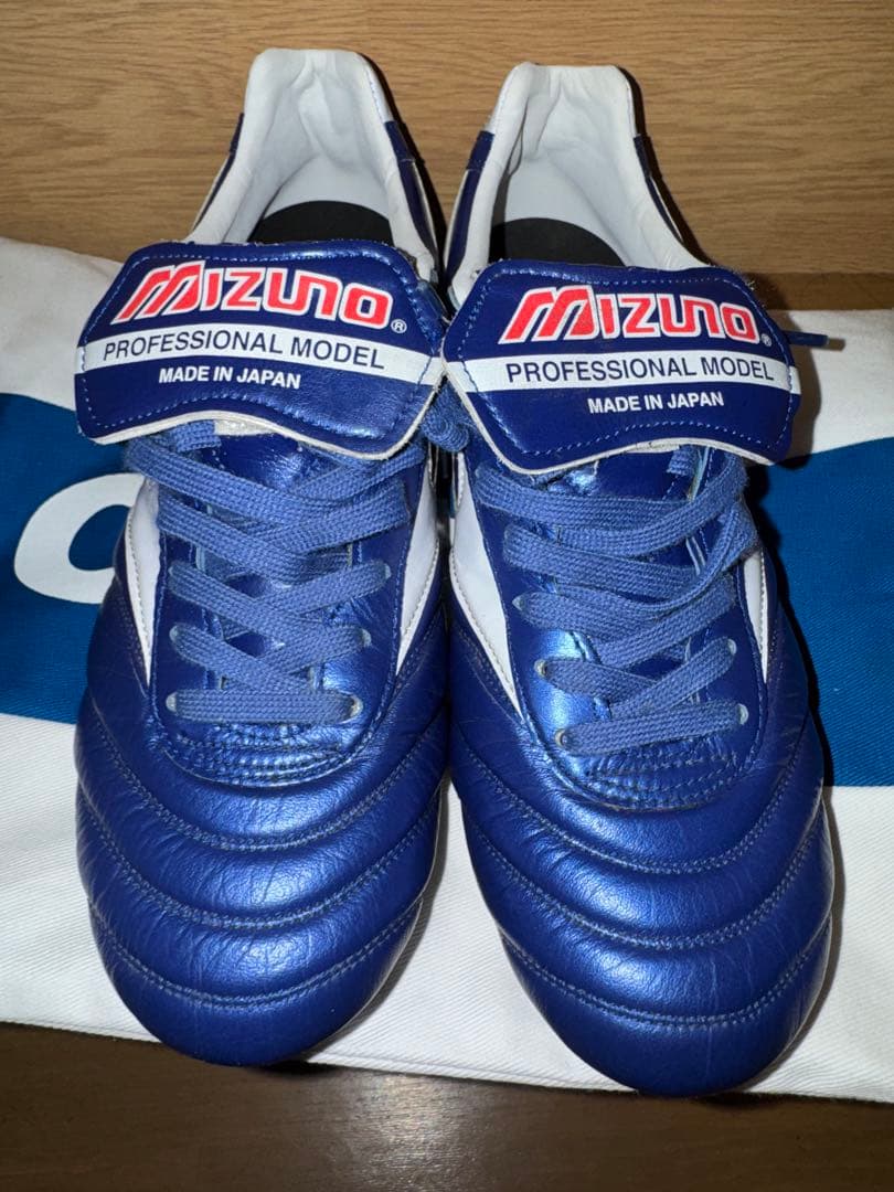 【稟月】モレリア2 2020東京オリンピック限定モデルMizuno25㎝