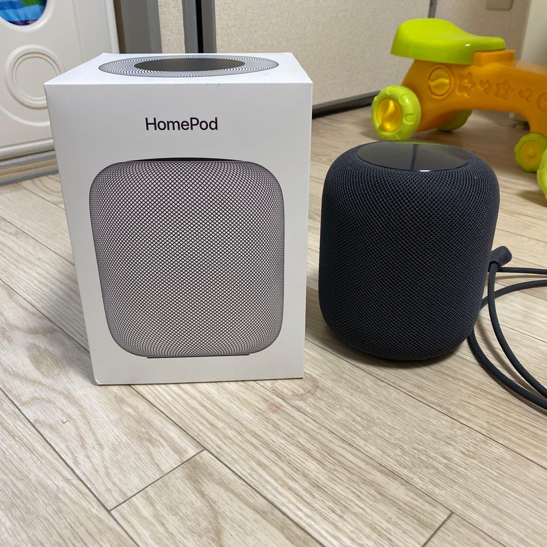 Apple Pod スペースグレー 本体 ジャンク