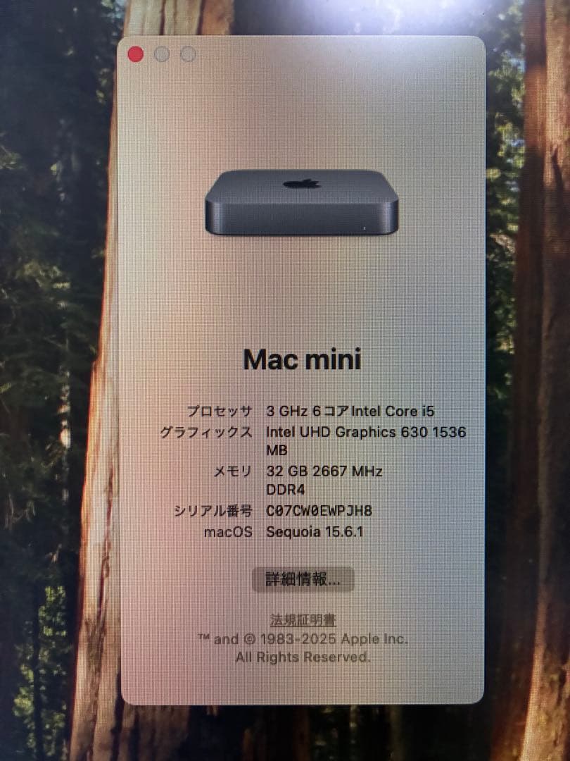Mac mini 2018 スペースグレー i5
