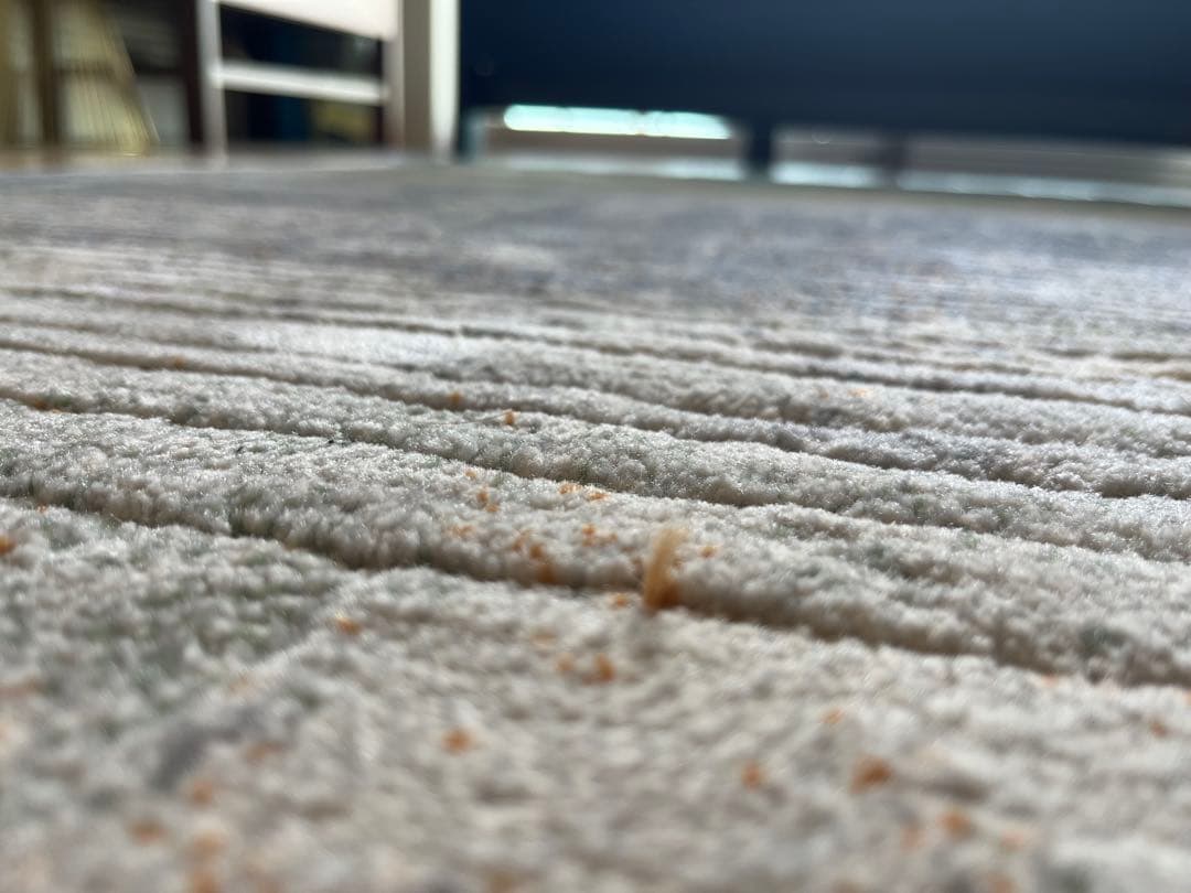 【50万ノット】ウィルトンカーペット ロマネ 200×290cm