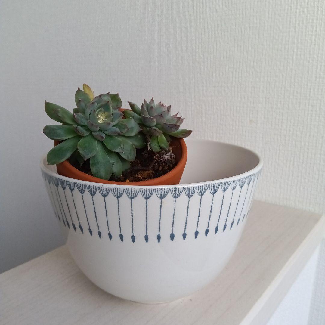 ARABIA　ヘイニ　Heini ボウル　希少