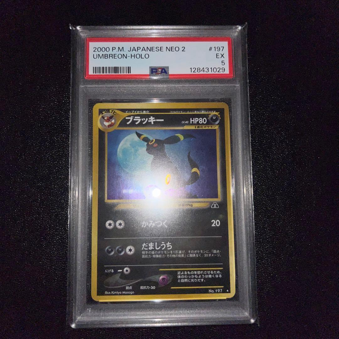 PSA5 旧裏ブラッキー進化セット