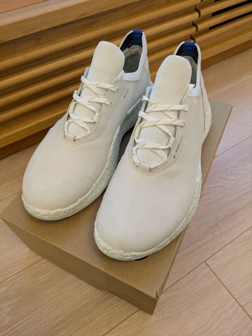 シューズ(男性用) ECCO golf biom h5 hybrid men