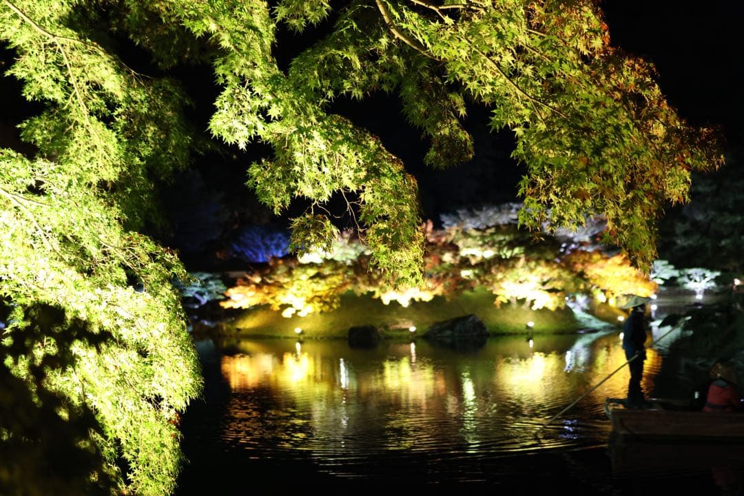 シグマ18-35mm F1.8 DC HSM | Art