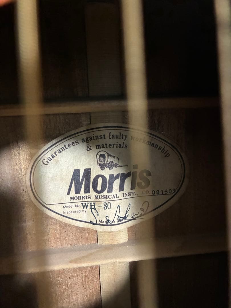 モーリス ギター Morris WH-30