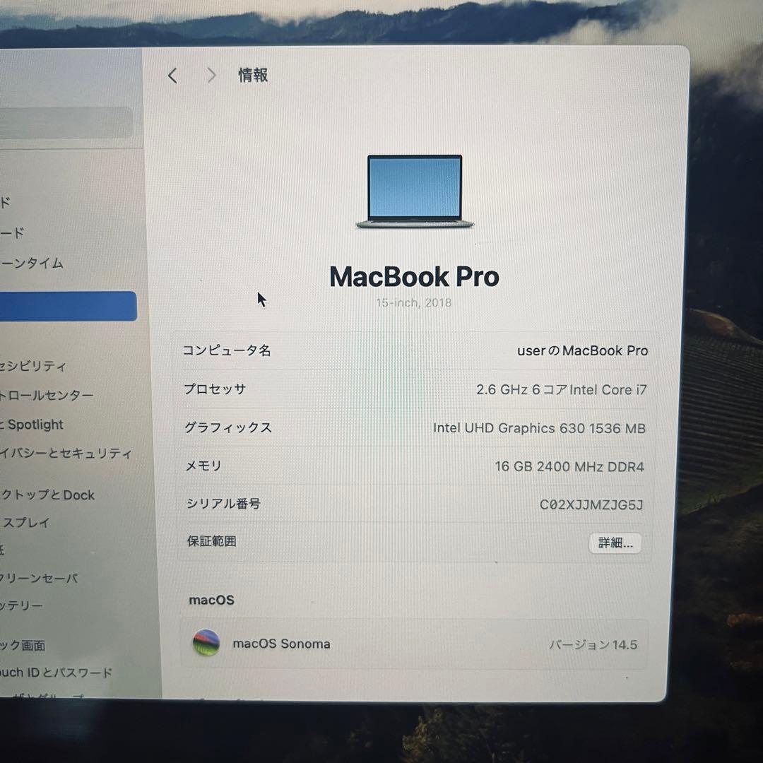 【高性能！】MacBook Pro 2019 16GB 512GB 15インチ