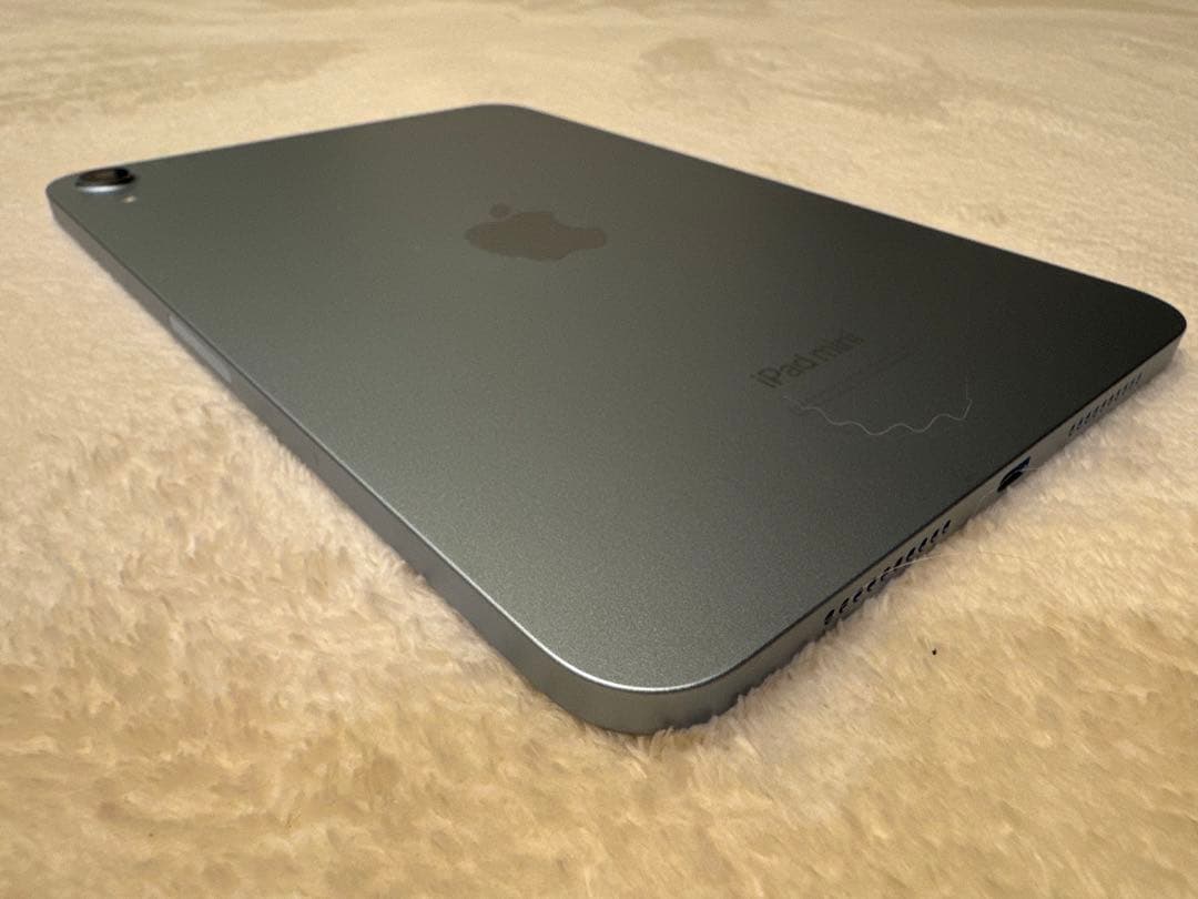 iPad本体 iPad mini (A17) 128GB + Apple Pencil Pro