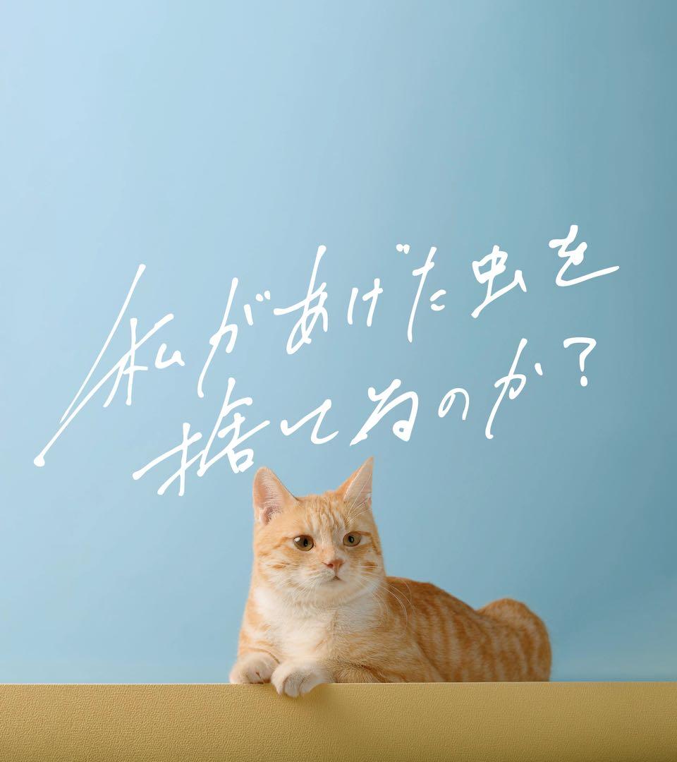 【Eliza】珈琲の輪郭セット