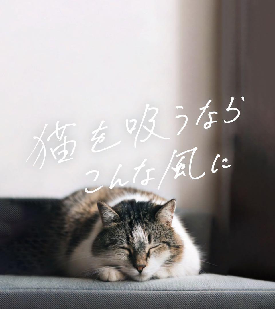 【Eliza】珈琲の輪郭セット