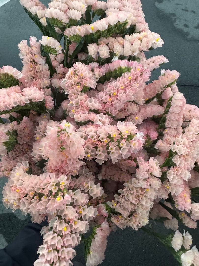 みう様 リクエスト 3点 まとめ商品