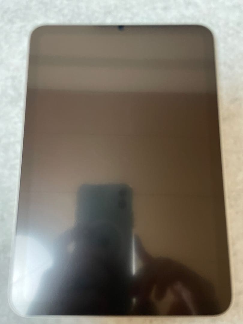 iPad mini (7世代) +Apple Pencil Pro +その他