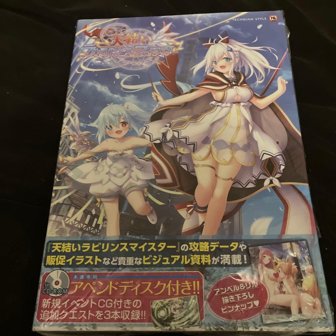 天結いラビリンスマイスター パーフェクトガイドブック