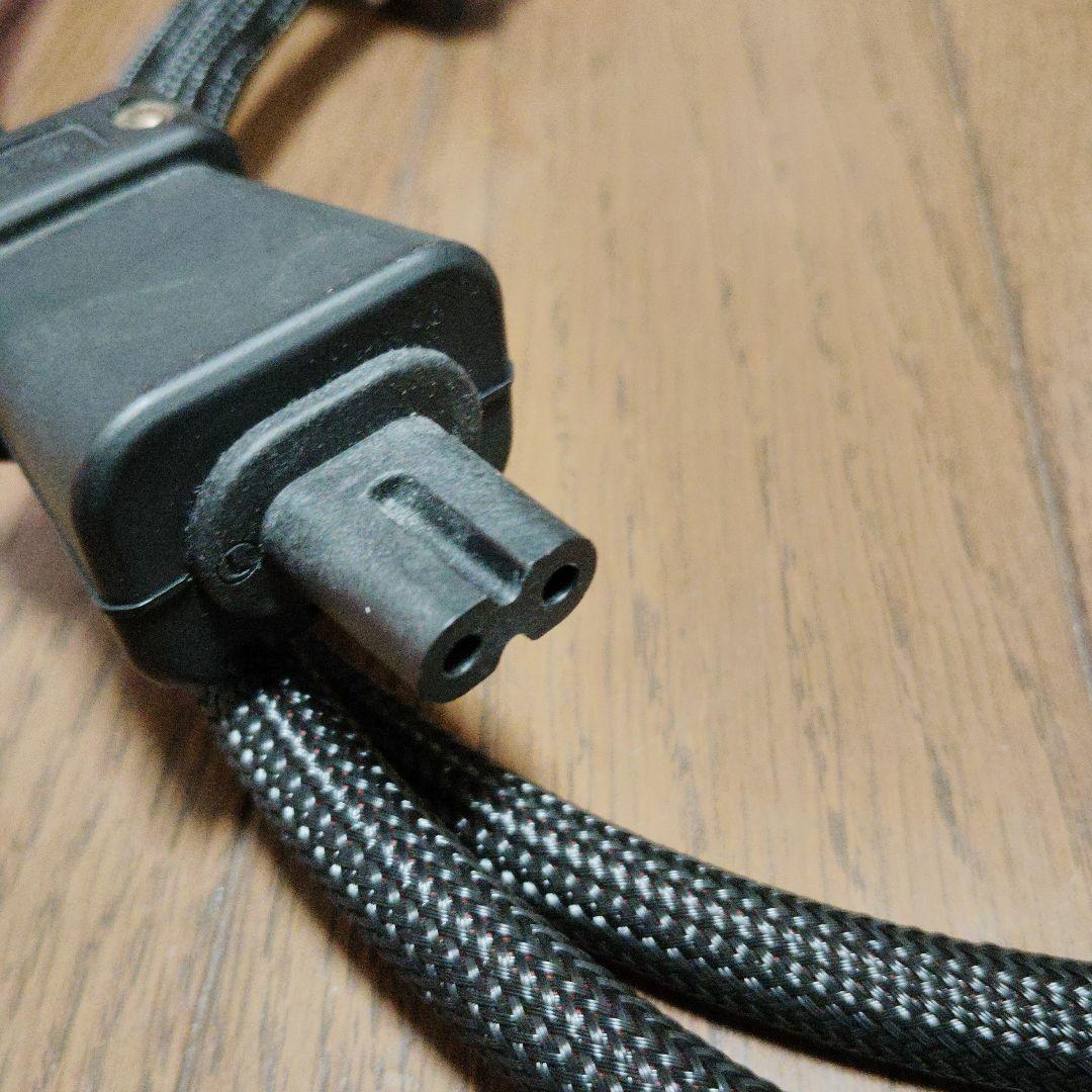 Y.amアコースティックリバイブTripleC-MG 2m